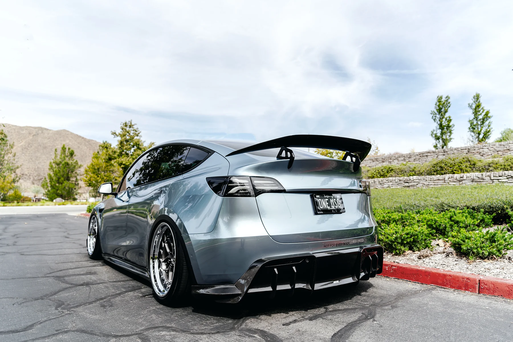 TESLA MODEL Y ADRO AT-S SWAN NECK WING